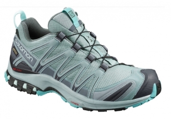 Salomon XA Pro 3D GTX Damen grau / 39 1/3