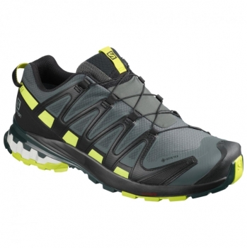 Salomon XA Pro 3D V8 GTX Herren