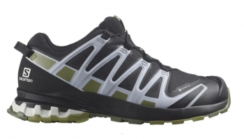 Salomon XA Pro 3D V8 GTX W Damen schwarz/blau / 40 2/3