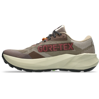 Asics Trabuco 14 GTX Herren 44,5 / taupe grey/oatmeal