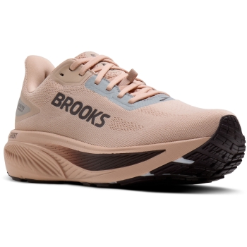 Brooks Ghost 18 GTX Damen 40,5 / rose dust/raisin