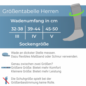 CEP The Run 4.0 Calf Sleeves Herren schwarz / IV