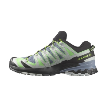 Salomon XA Pro 3D V9 Herren grün / 41 1/3