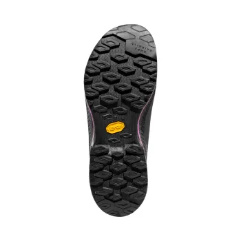 La Sportiva TX4 Evo MID W´s GTX Damen 39 1/2 / carbon/springtime